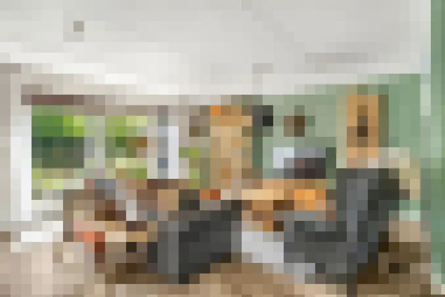 Kotter 26 Nijkerk thumbnail 7
