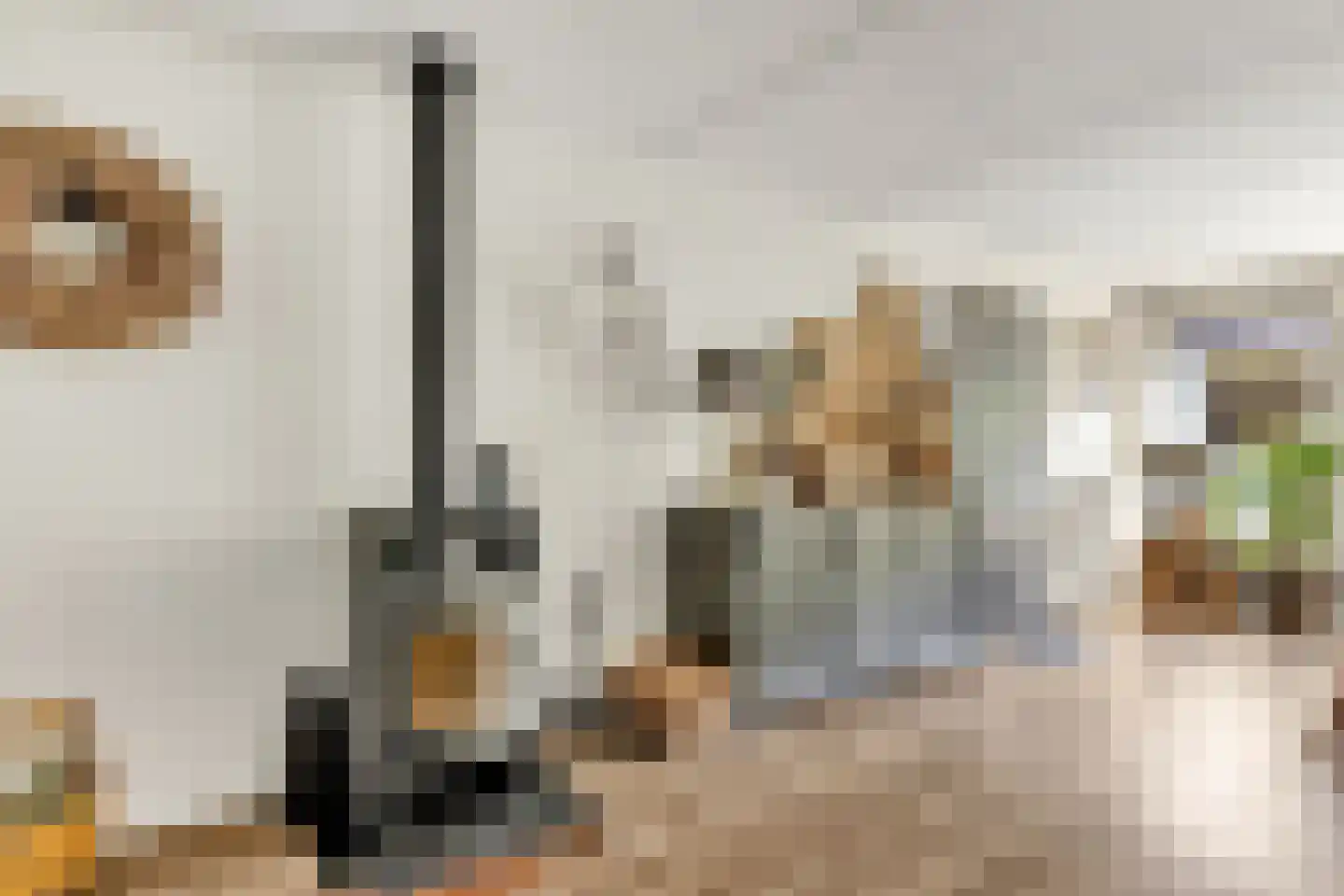 Kotter 26 Nijkerk thumbnail 9