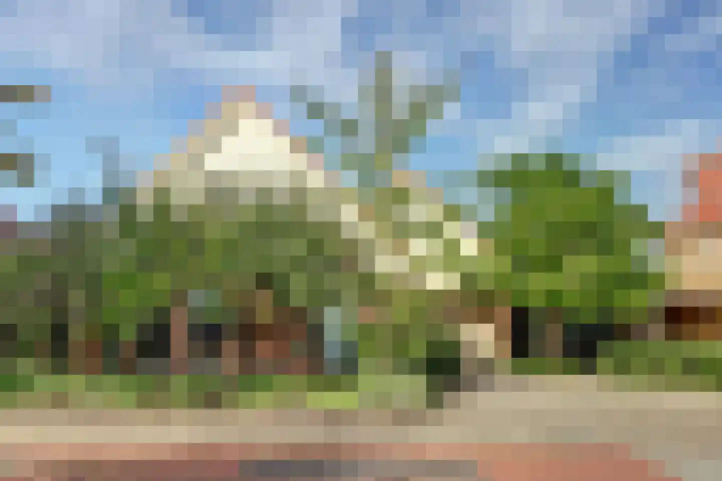 Kotter 3 Arnemuiden thumbnail 15