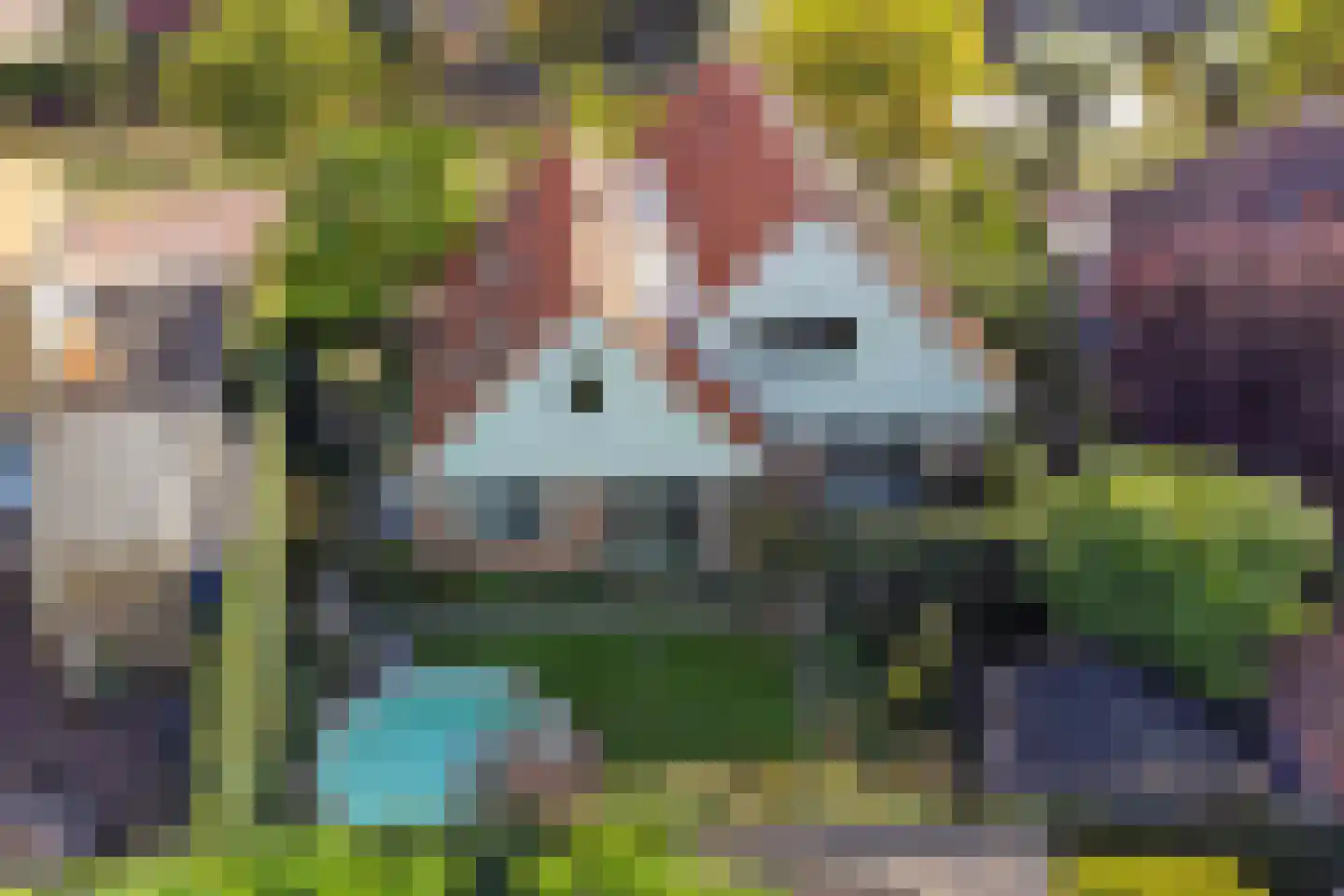 Kotter 3 Arnemuiden thumbnail 4