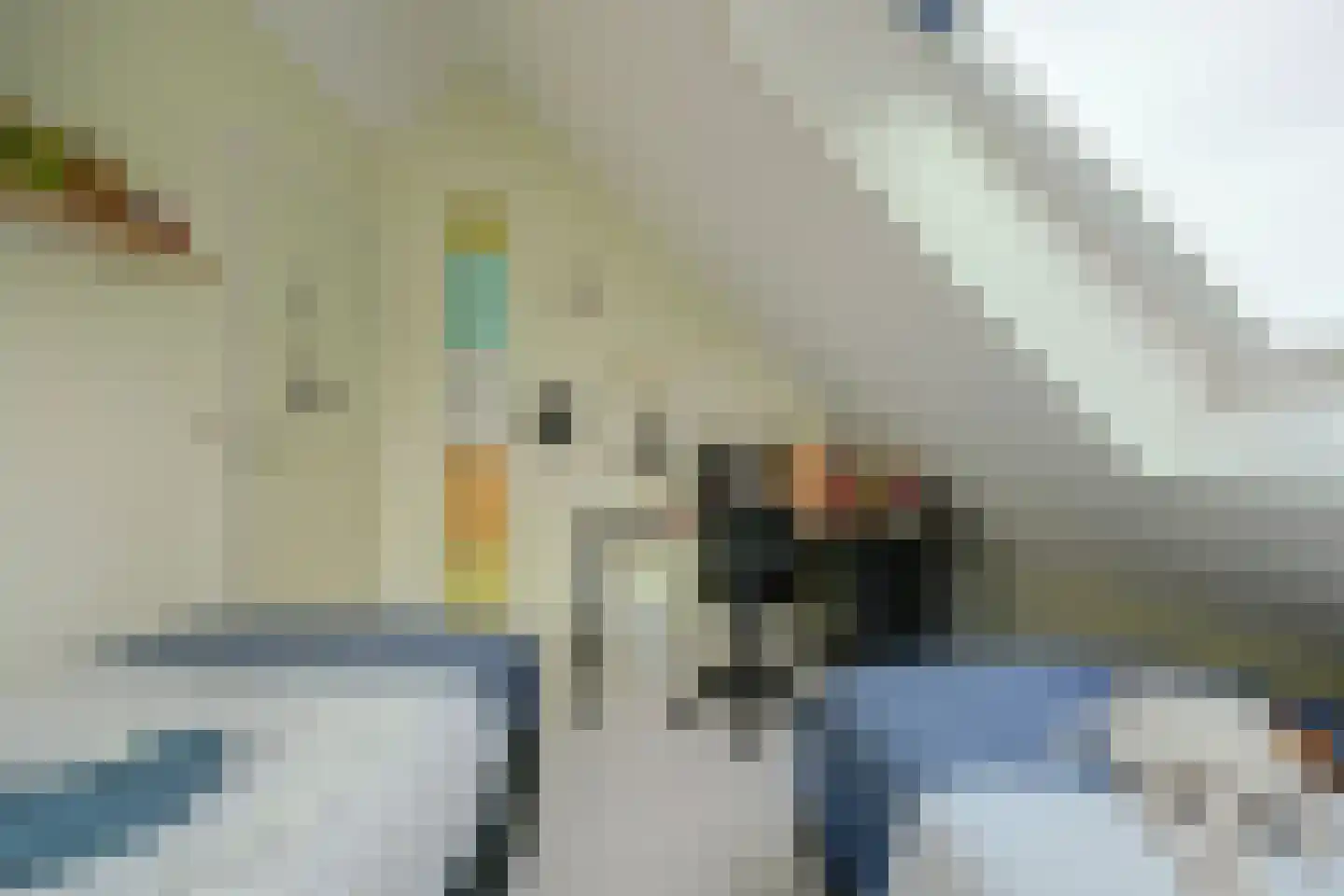 Kotter 3 Arnemuiden thumbnail 46
