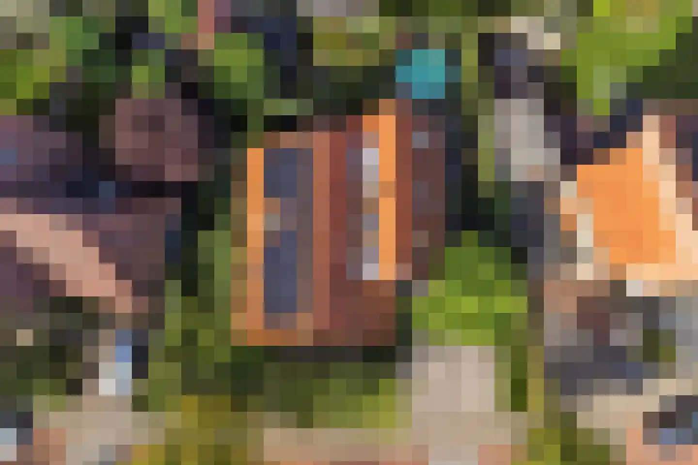 Kotter 3 Arnemuiden thumbnail 49