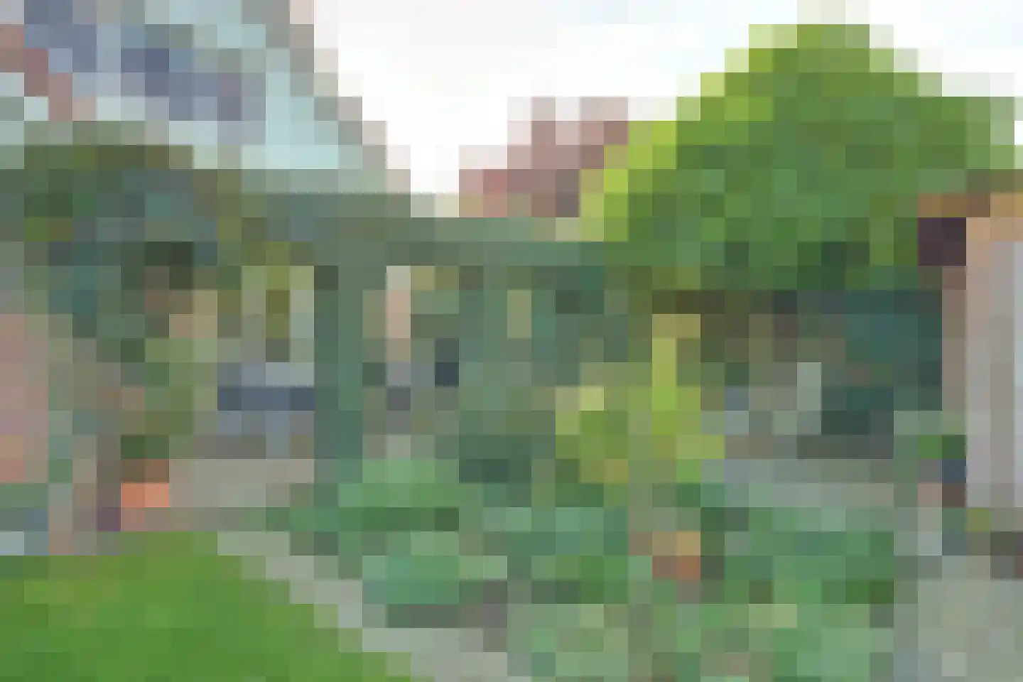 Kotter 3 Arnemuiden thumbnail 50