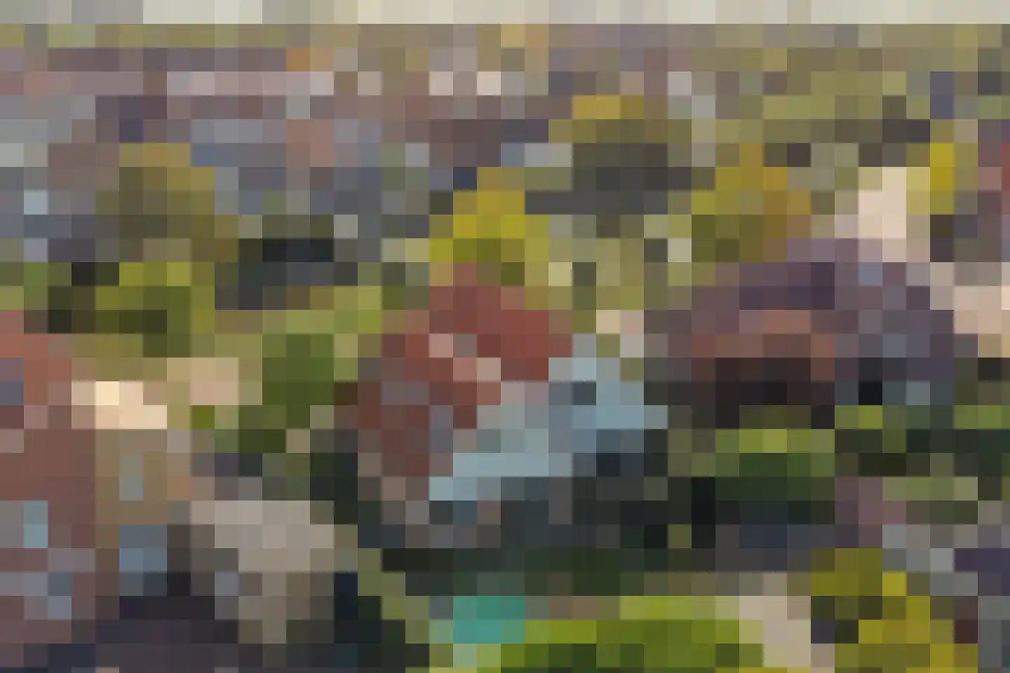 Kotter 3 Arnemuiden thumbnail 55
