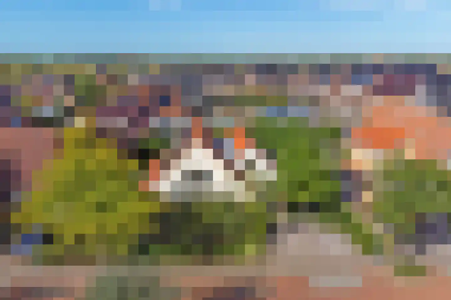 Kotter 3 Arnemuiden thumbnail 56