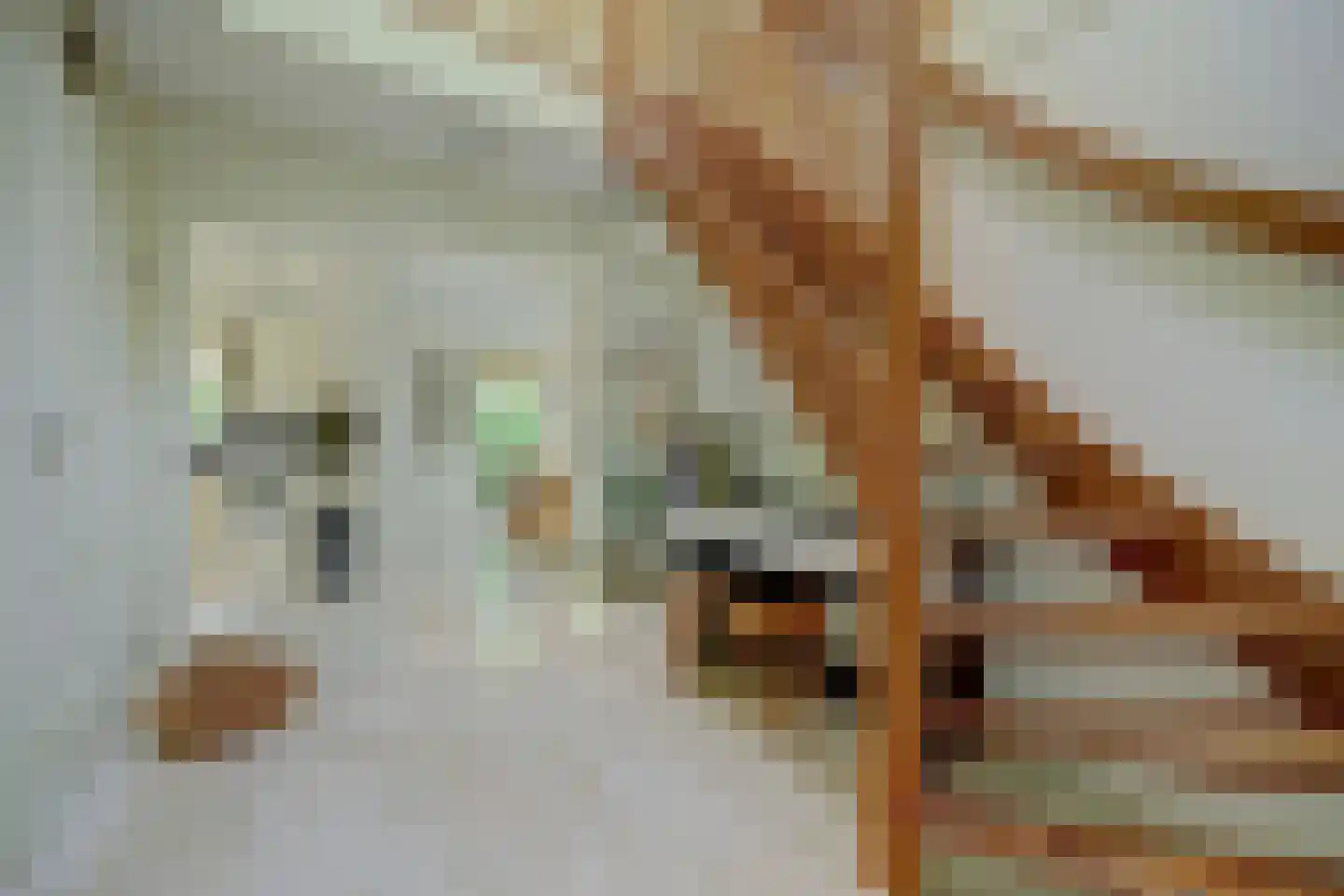 Kotter 3 Arnemuiden thumbnail 7