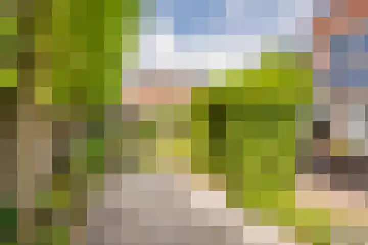Kotter 32 Nijkerk thumbnail 11