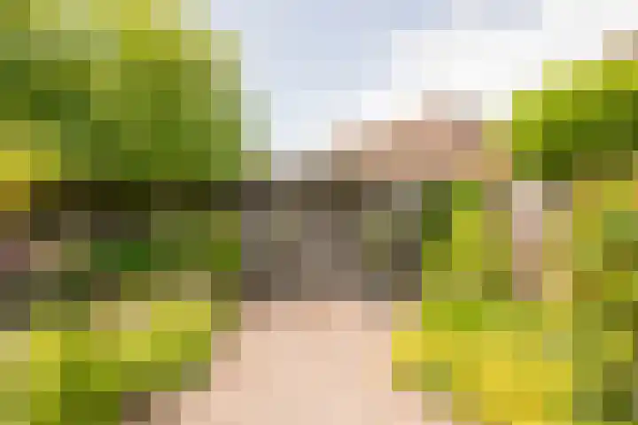 Kotter 32 Nijkerk thumbnail 12