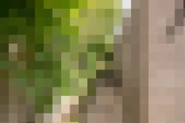Kotter 32 Nijkerk thumbnail 13