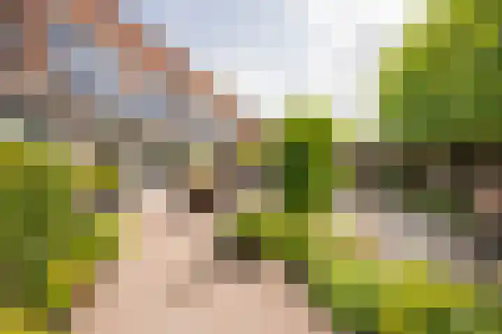 Kotter 32 Nijkerk foto 2