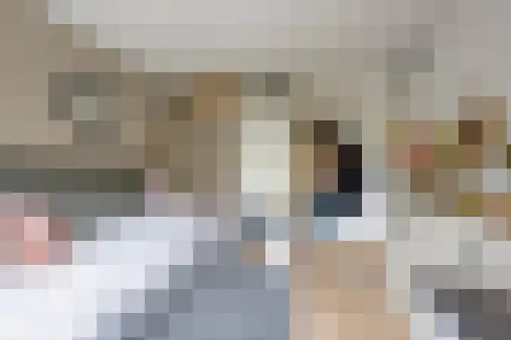 Kotter 32 Nijkerk thumbnail 31