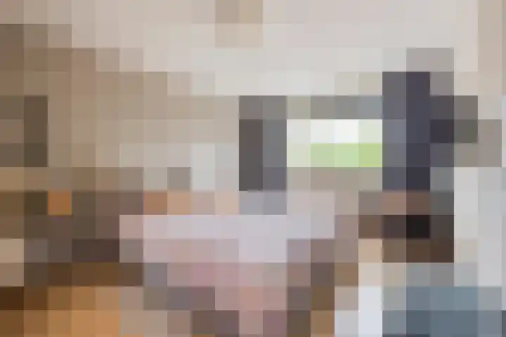 Kotter 32 Nijkerk thumbnail 32