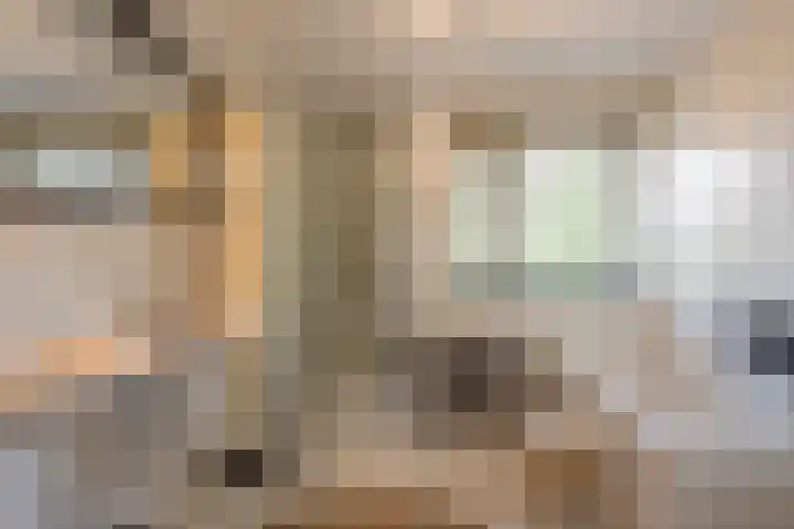Kotter 32 Nijkerk thumbnail 35