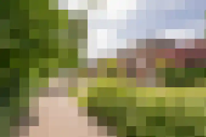 Kotter 32 Nijkerk thumbnail 4