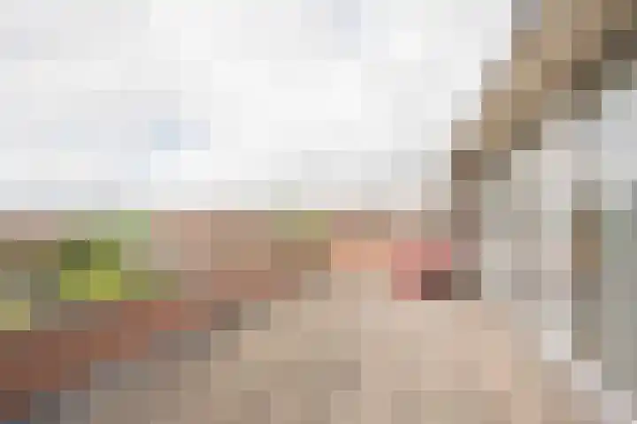 Kotter 32 Nijkerk thumbnail 42