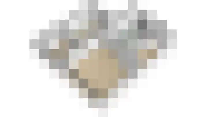 Kotter 32 Nijkerk thumbnail 46