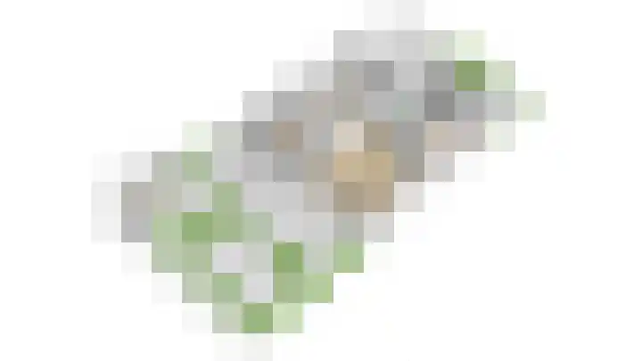 Kotter 32 Nijkerk thumbnail 55