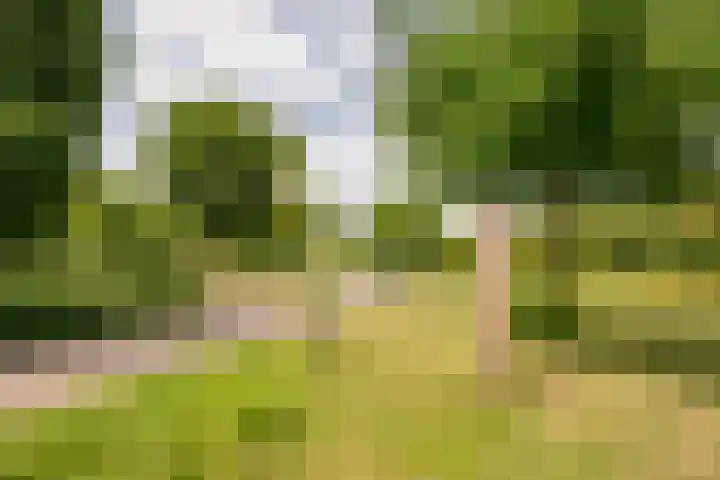 Kotter 32 Nijkerk thumbnail 7