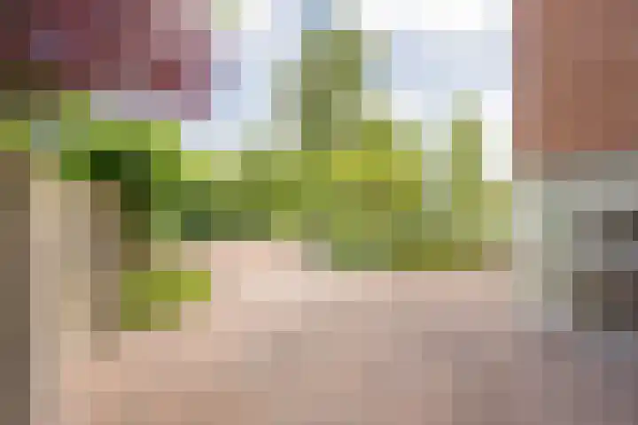 Kotter 32 Nijkerk thumbnail 8