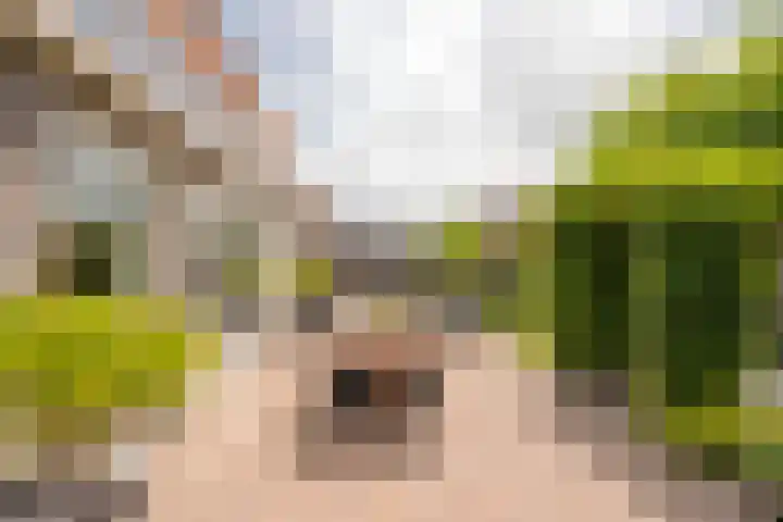 Kotter 32 Nijkerk thumbnail 9