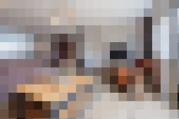 Kotter 33 Wijk bij Duurstede thumbnail 14