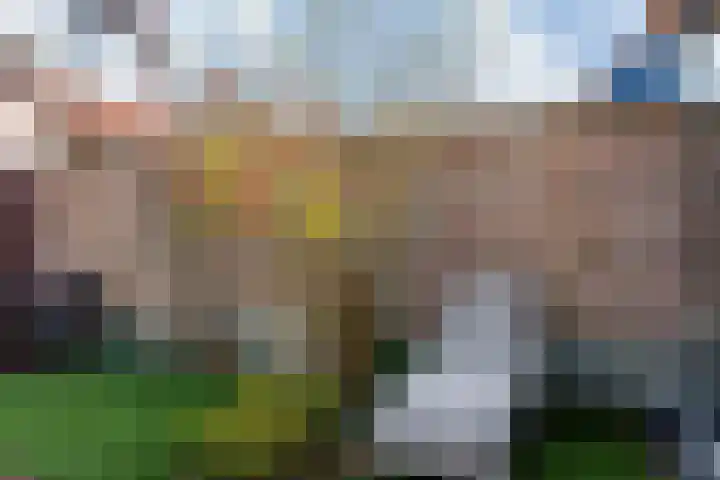 Kotter 33 Wijk bij Duurstede thumbnail 20