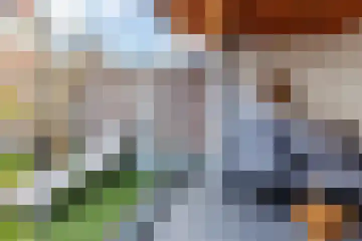 Kotter 33 Wijk bij Duurstede thumbnail 22