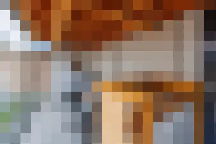 Kotter 33 Wijk bij Duurstede thumbnail 23