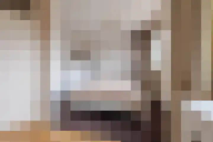 Kotter 33 Wijk bij Duurstede thumbnail 35