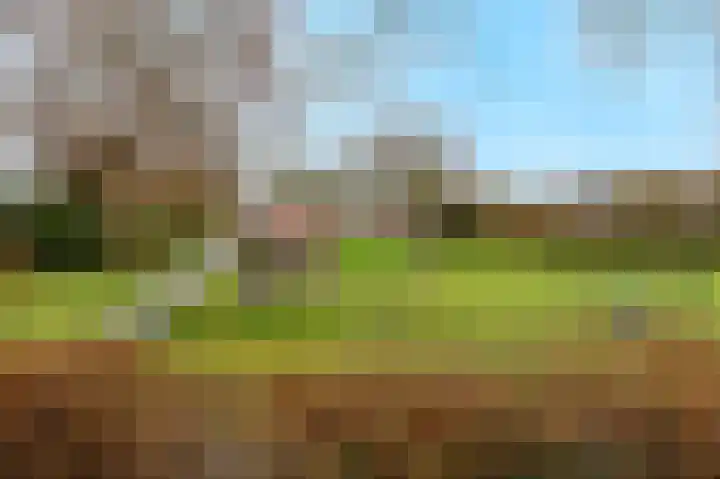 Kotter 33 Wijk bij Duurstede thumbnail 52