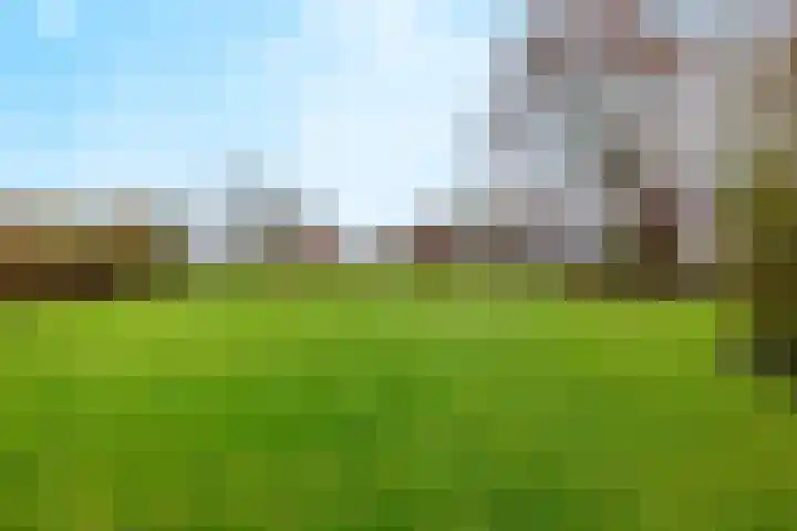 Kotter 33 Wijk bij Duurstede thumbnail 53