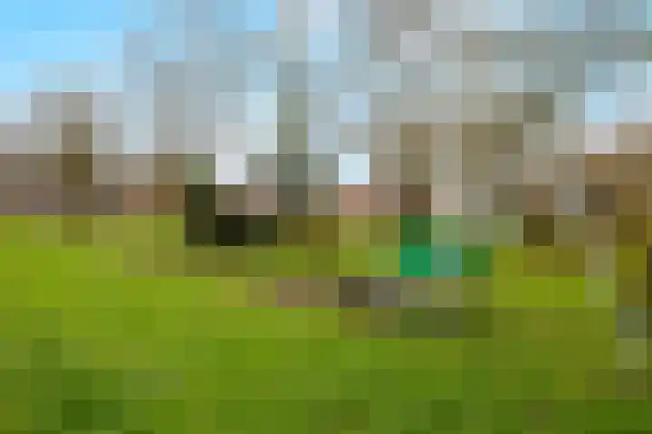 Kotter 33 Wijk bij Duurstede thumbnail 54