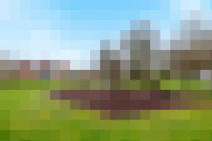Kotter 33 Wijk bij Duurstede thumbnail 55