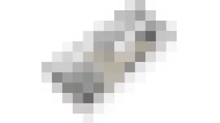 Kotter 33 Wijk bij Duurstede thumbnail 58