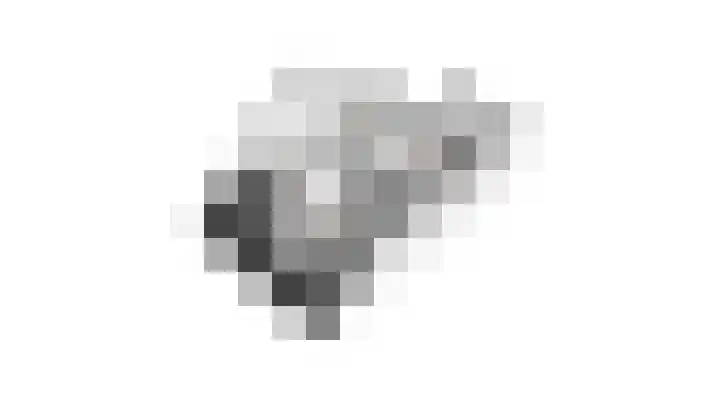 Kotter 33 Wijk bij Duurstede thumbnail 70