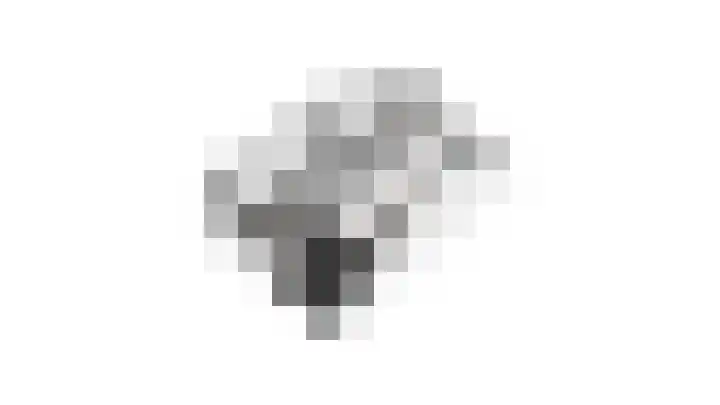 Kotter 33 Wijk bij Duurstede thumbnail 71
