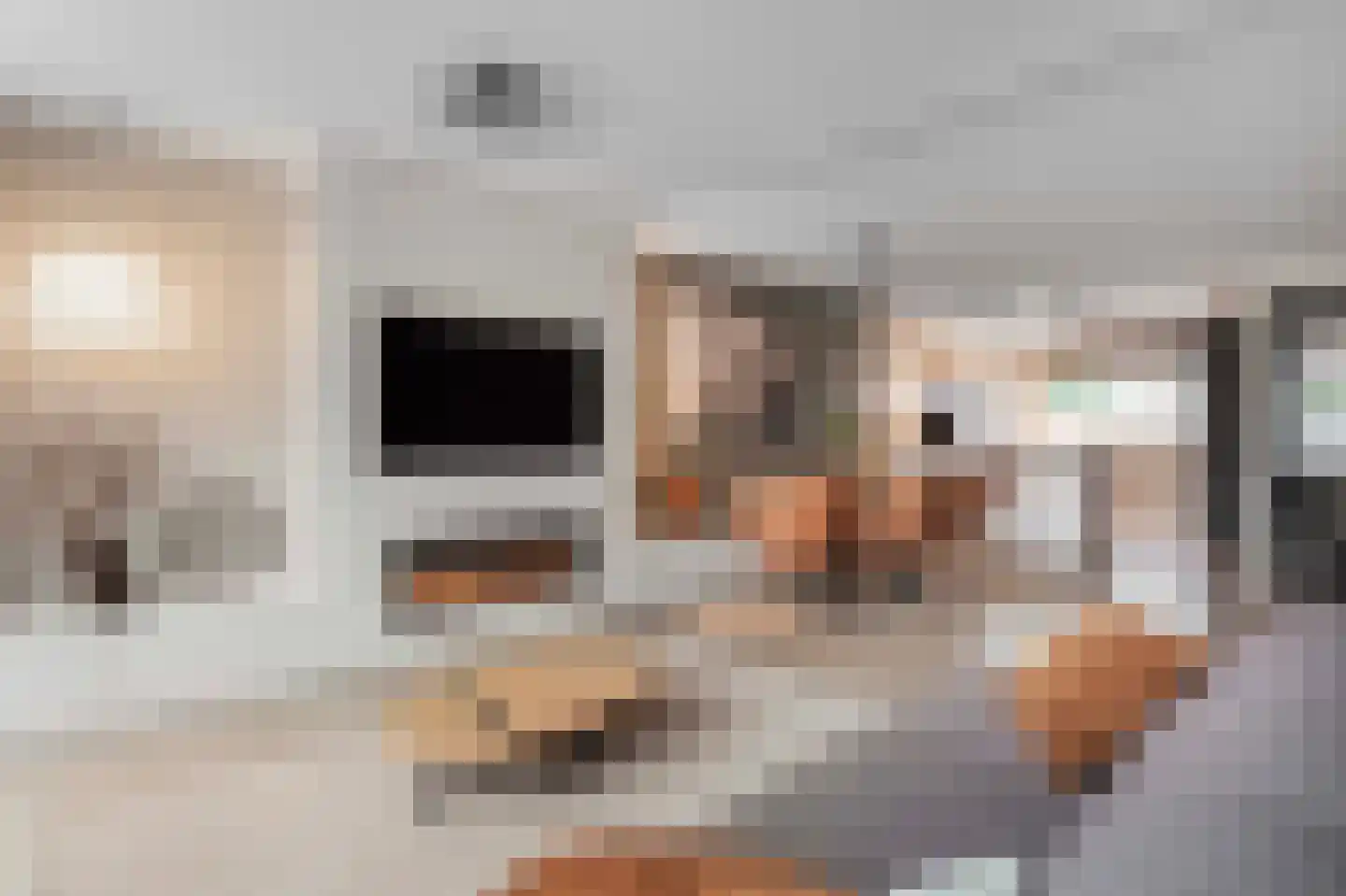 Kotter 35 Wijk bij Duurstede thumbnail 14