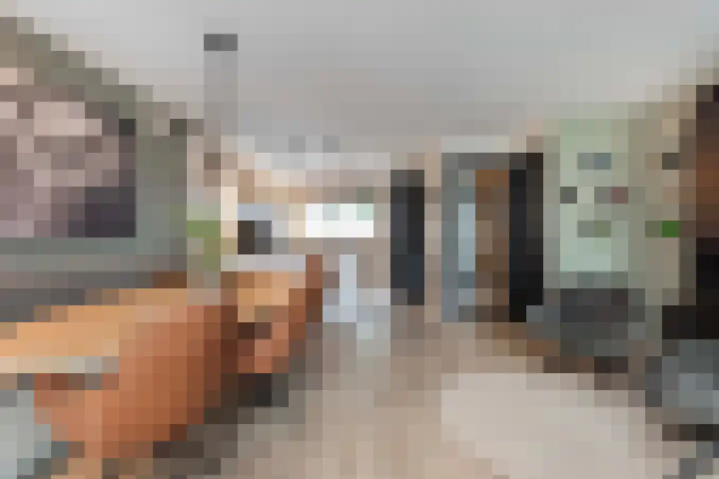 Kotter 35 Wijk bij Duurstede thumbnail 16