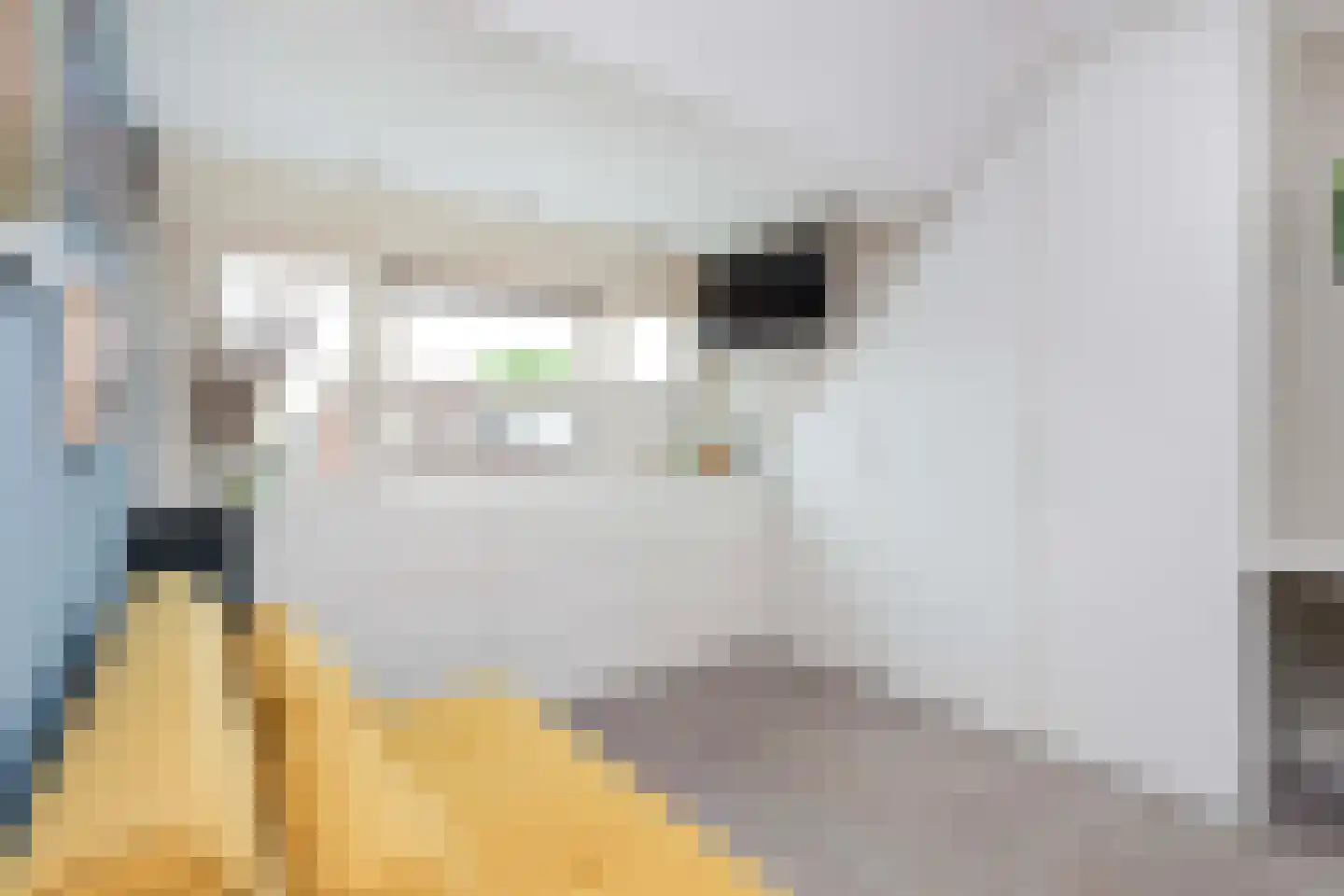 Kotter 35 Wijk bij Duurstede thumbnail 35
