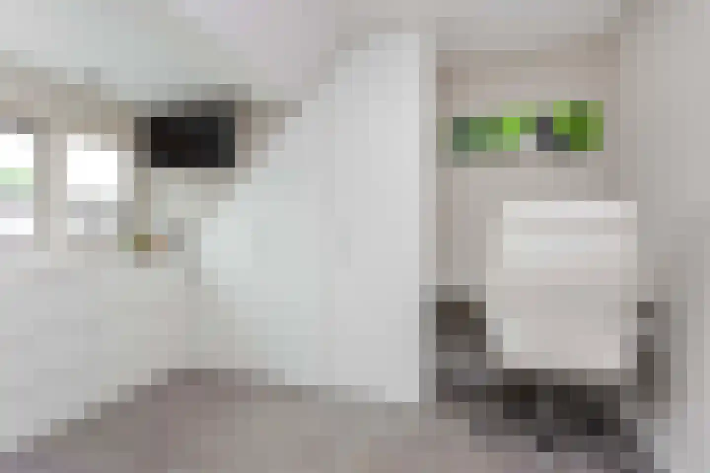 Kotter 35 Wijk bij Duurstede thumbnail 36