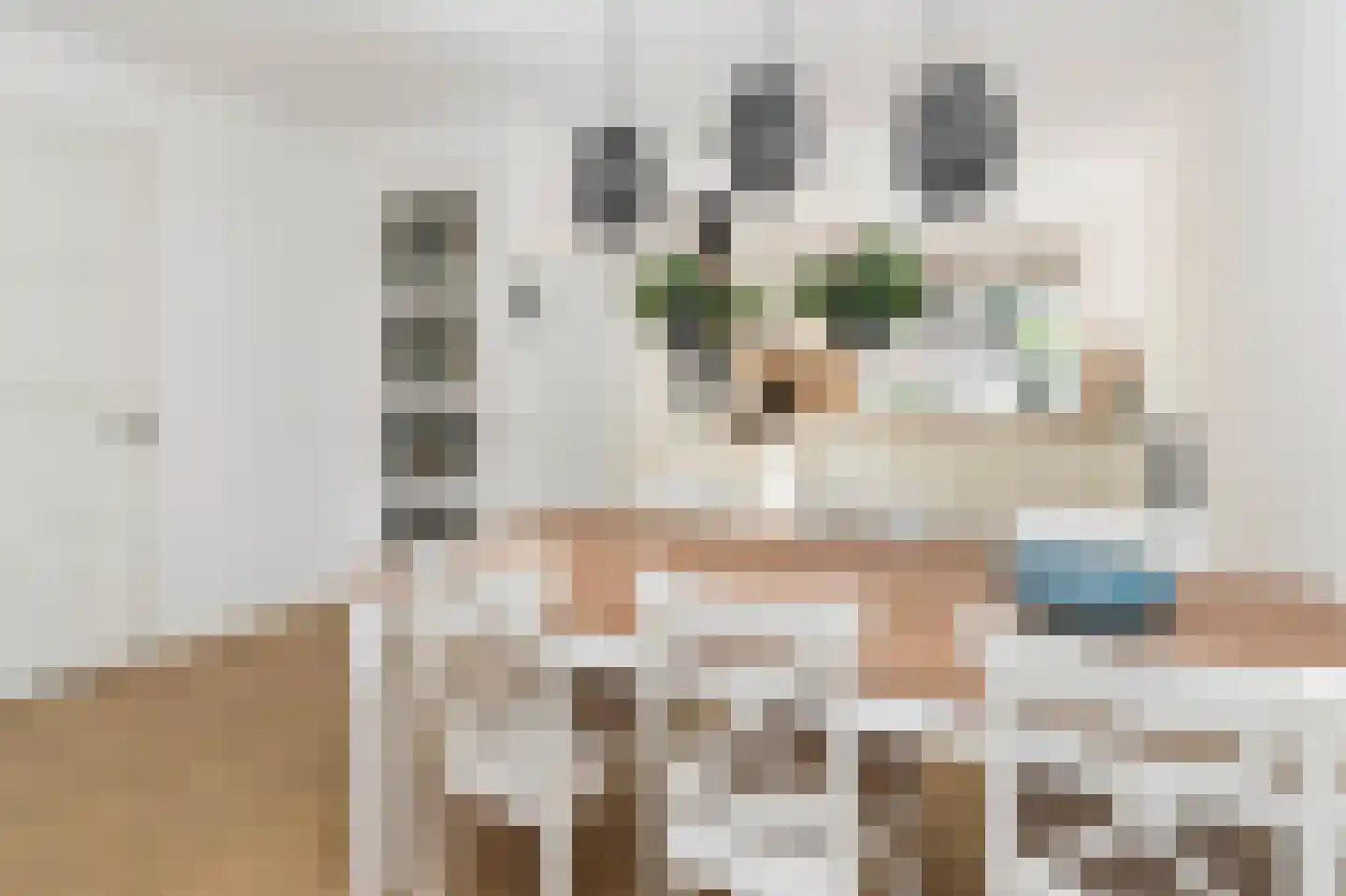Kotter 57 Huizen thumbnail 10