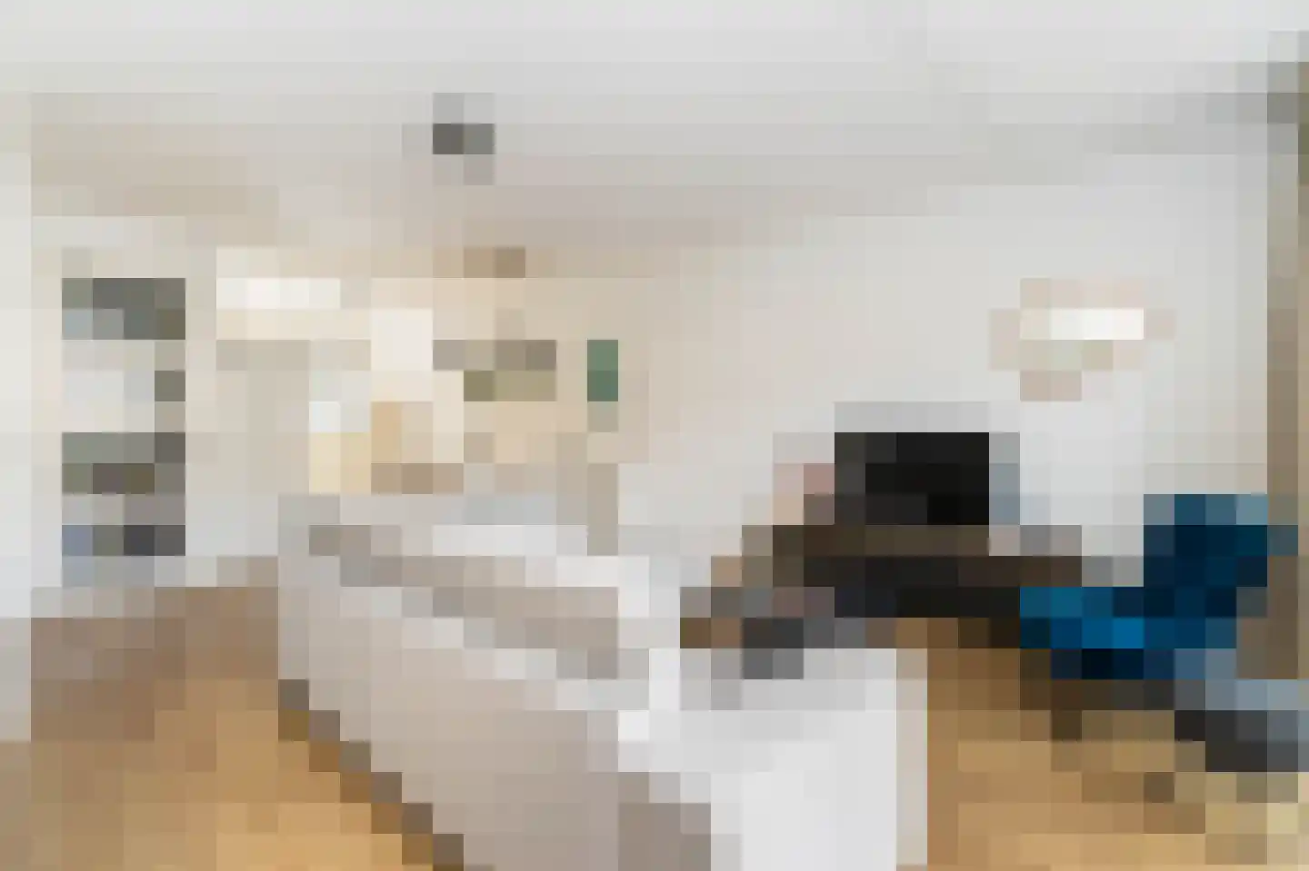 Kotter 57 Huizen thumbnail 7
