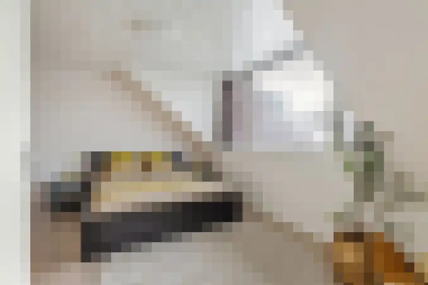 Kotter 82 Amstelveen thumbnail 26