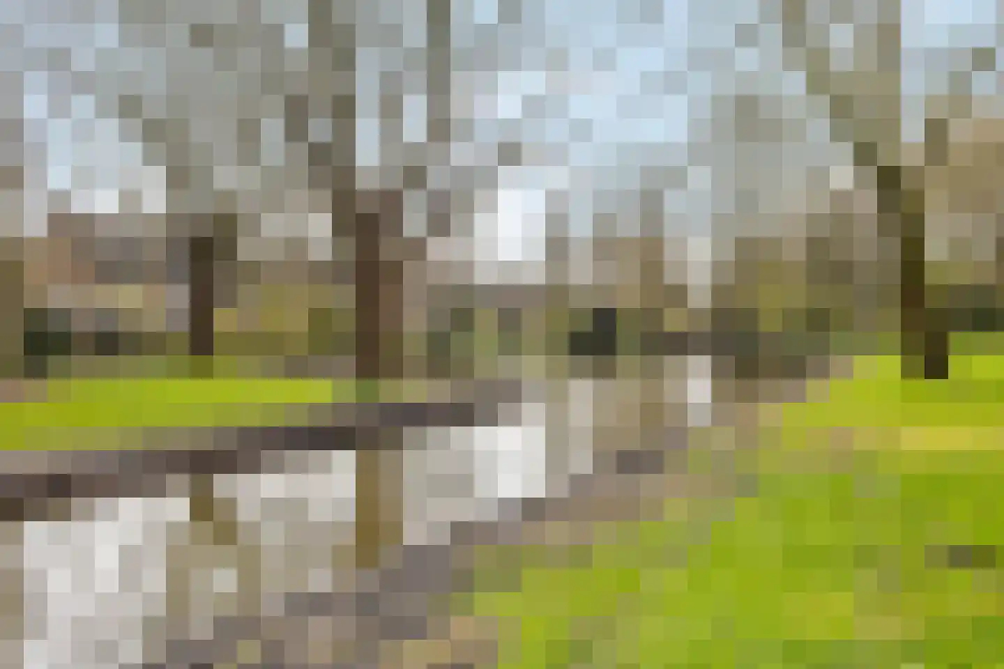Kotter 82 Amstelveen thumbnail 33