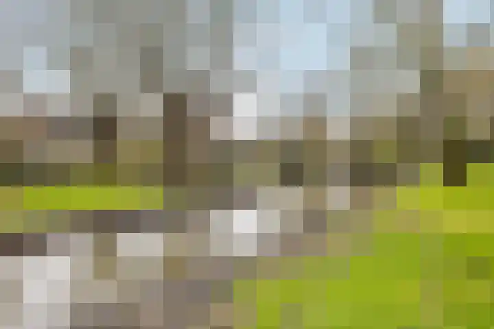 Kotter 82 Amstelveen thumbnail 33