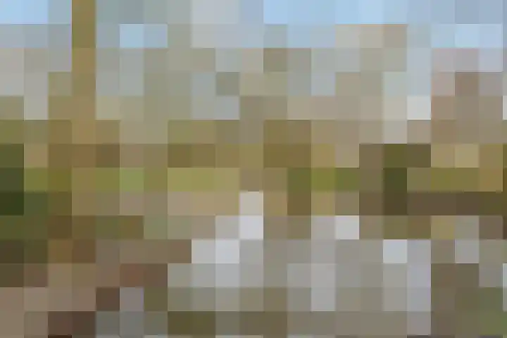 Kotter 82 Amstelveen thumbnail 34