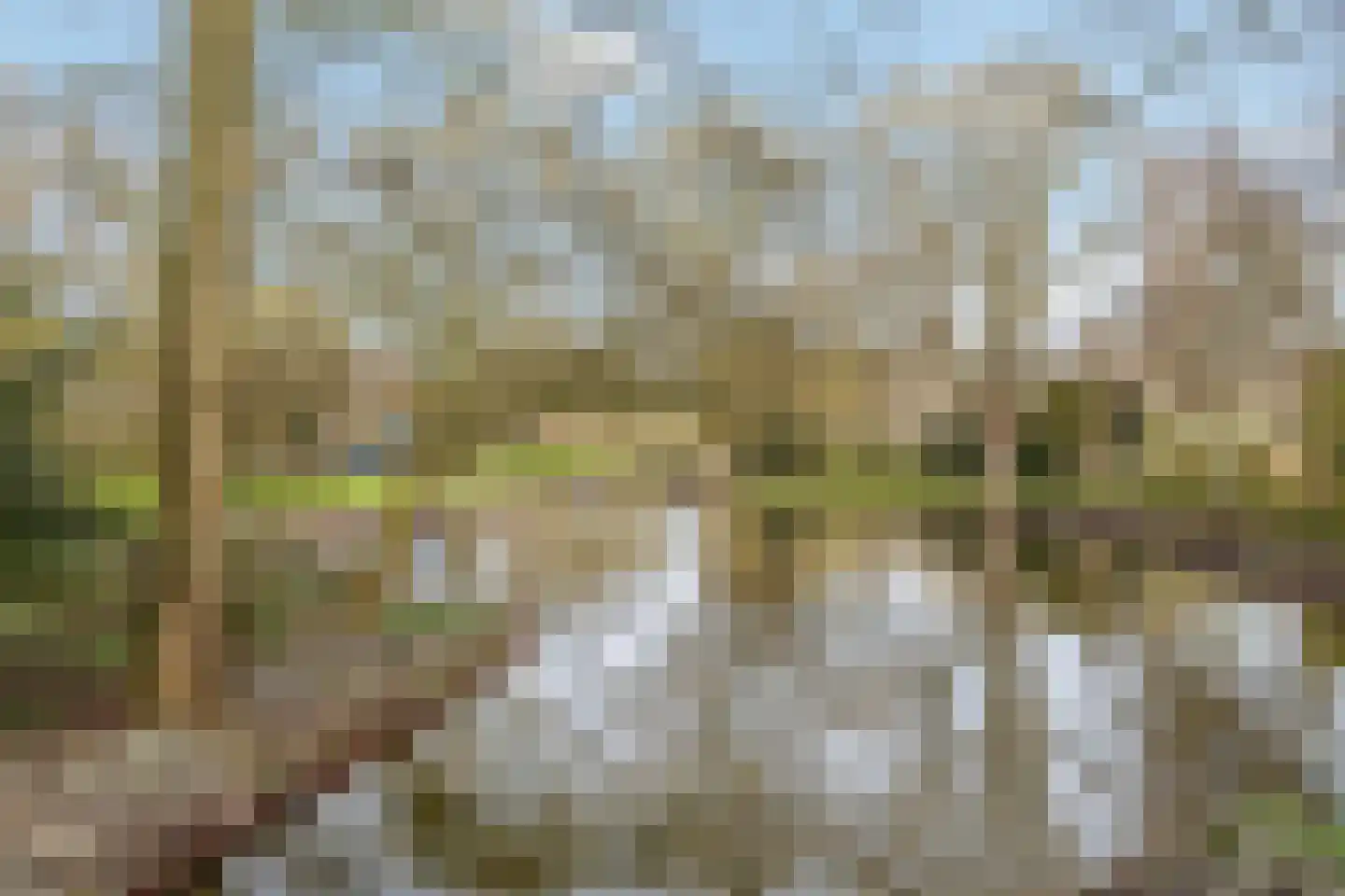 Kotter 82 Amstelveen thumbnail 34
