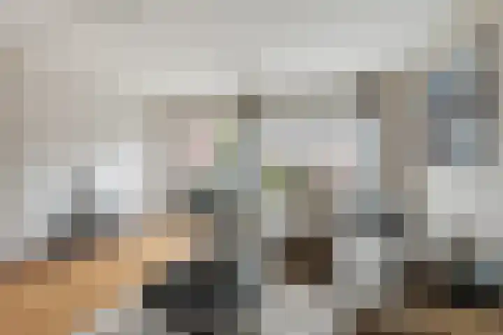Kotter 82 Amstelveen thumbnail 5
