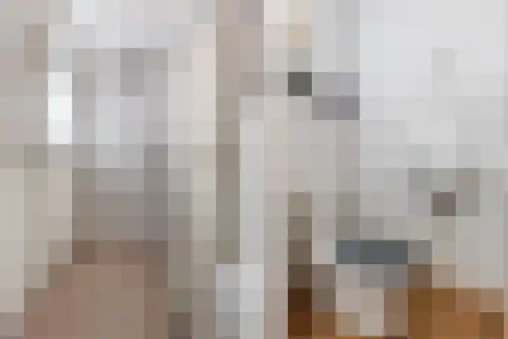 Kotterlaan 4 Helmond thumbnail 12