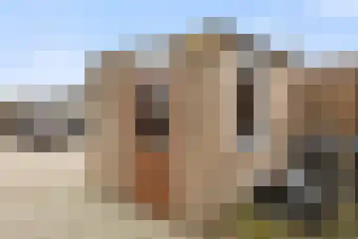 Kotterlaan 4 Helmond thumbnail 34